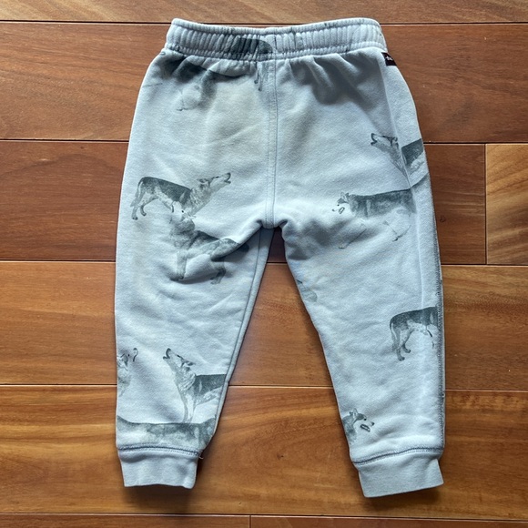 Tea Collection 3T Wolf Print Jogger Sweatpants Gray - Picture 4 of 7